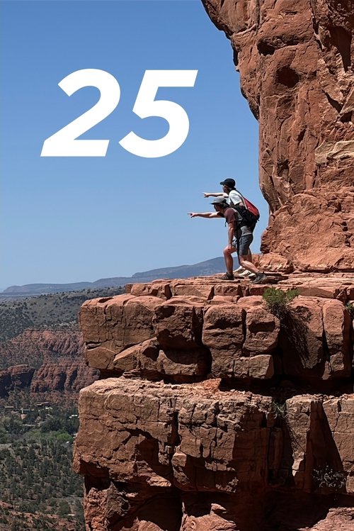 25 Movie Poster