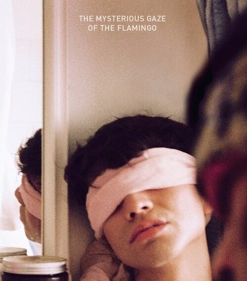 The Mysterious Gaze of the Flamingo Movie Poster