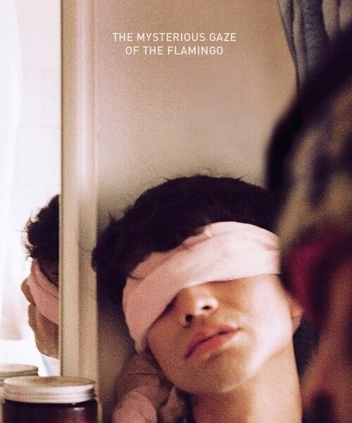 The Mysterious Gaze of the Flamingo Movie Poster