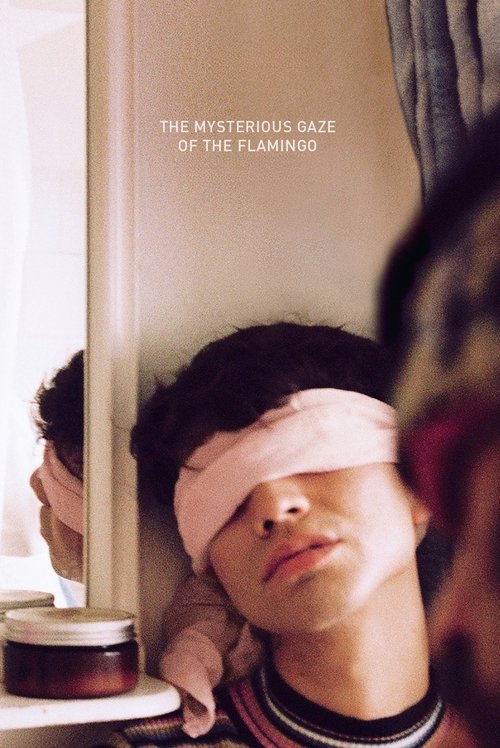 The Mysterious Gaze of the Flamingo Movie Poster